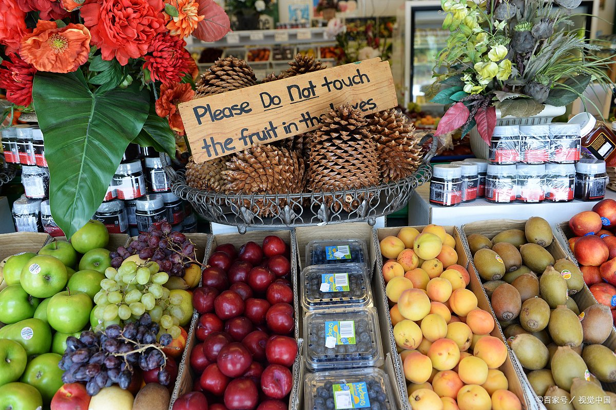 减肥水果排行榜