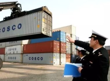 你如何看待南京海关截获4米长眼镜王蛇这件事？