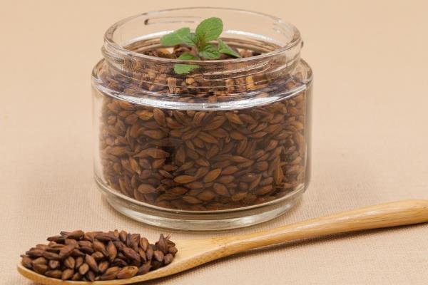 体内湿气重,应该多喝什么茶呢?