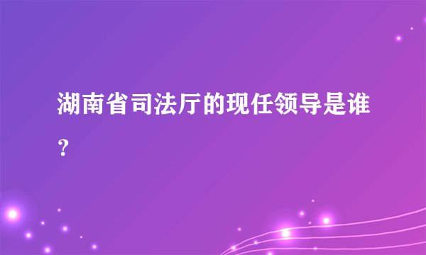 湖南省司法厅的现任领导是谁？