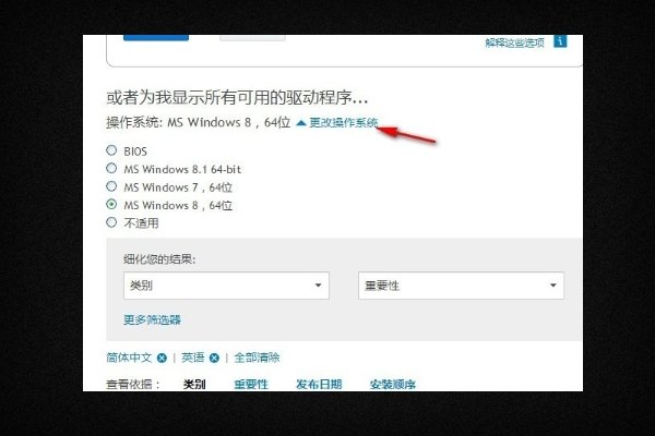 dell驱动下载管理器怎么用