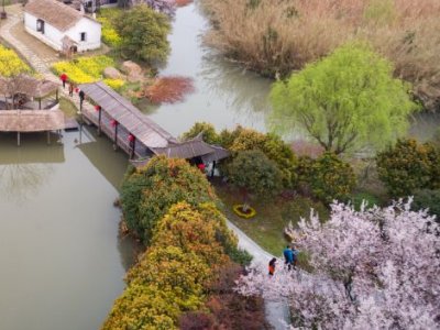 五湖四海喜迎春 一九梅花报春红是什么意思