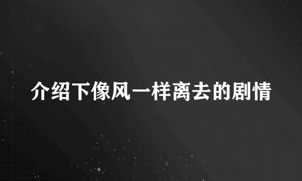 介绍下像风一样离去的剧情