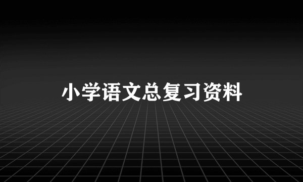 小学语文总复习资料