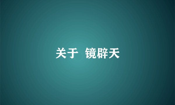 关于  镜辟天
