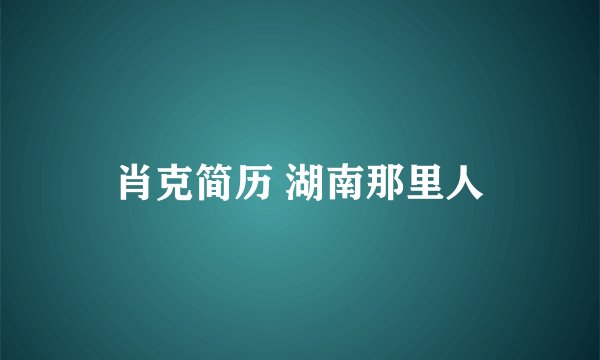 肖克简历 湖南那里人