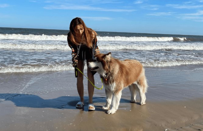 戴名表睡豪宅，王思聪的狗有多土豪？