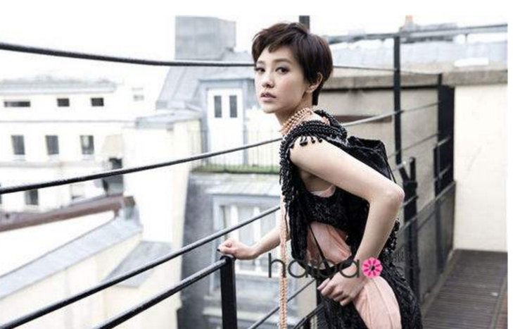 郭采洁向汪峰道歉是怎么回事？