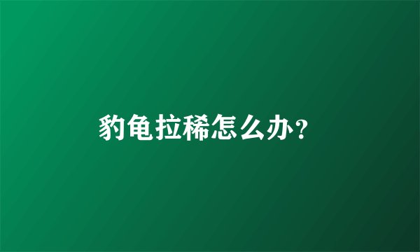 豹龟拉稀怎么办？