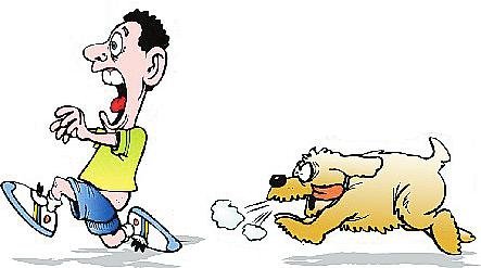 安阳狗咬人事件气哭记者，狗主人被停职，此事该影响到其工作吗？