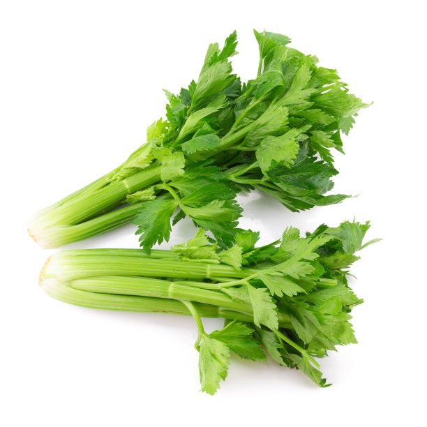 芹菜的功效与作用禁忌是什么？