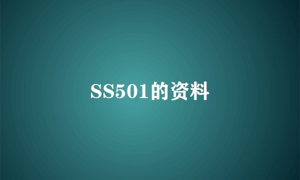 SS501的资料