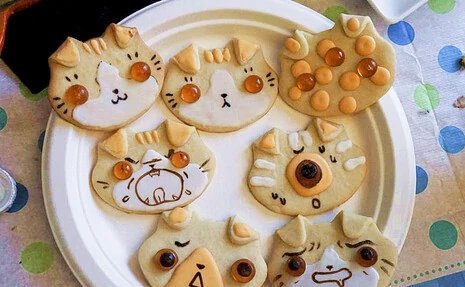 甜猫是什么意思？