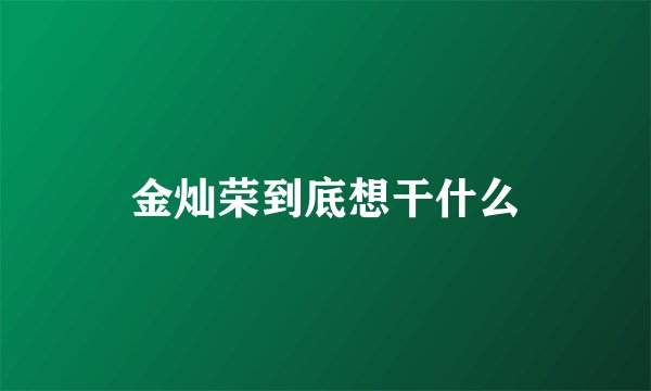 金灿荣到底想干什么