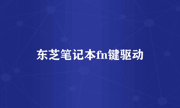 东芝笔记本fn键驱动