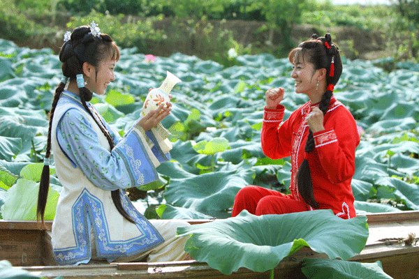 日作诗两千首女孩卖课收费五千，你会愿意去上她的课吗？