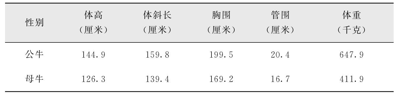 我国有哪些黄牛品种？特点是什么？