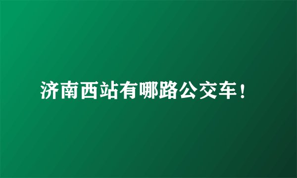 济南西站有哪路公交车！