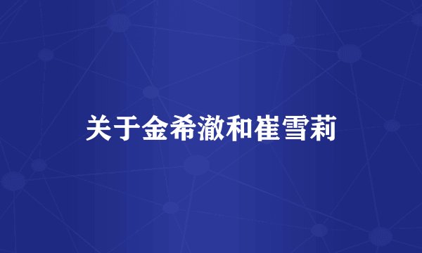 关于金希澈和崔雪莉