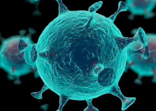 新型冠状病毒肺炎的症状有哪些?该如何应对呢?