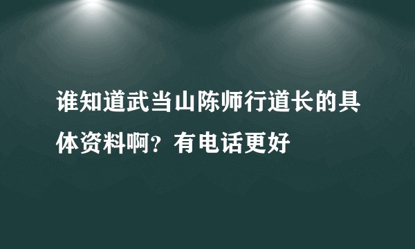 谁知道武当山陈师行道长的具体资料啊？有电话更好