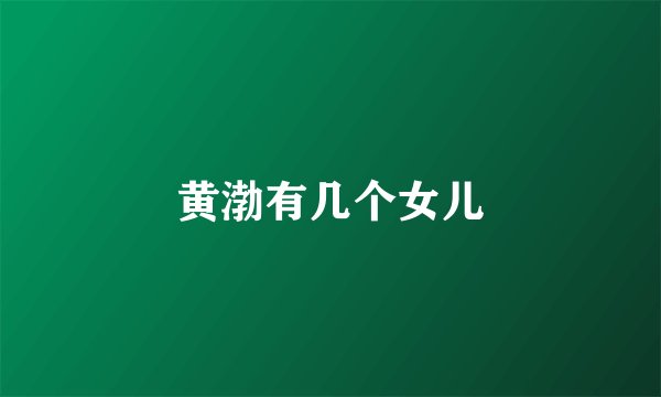 黄渤有几个女儿