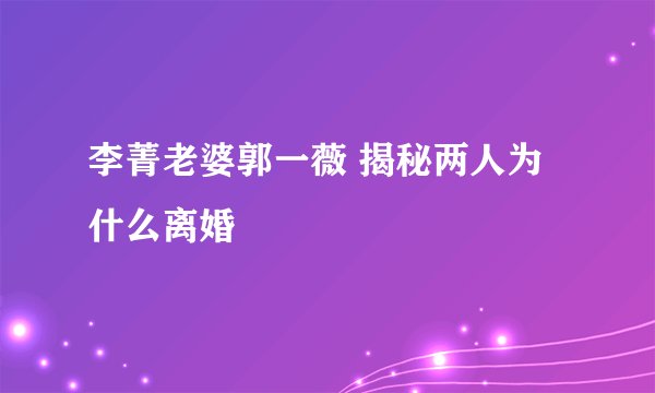 李菁老婆郭一薇 揭秘两人为什么离婚