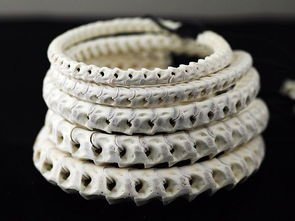 古印度“通天绳”是什么奇术？为什么至今无人破解？