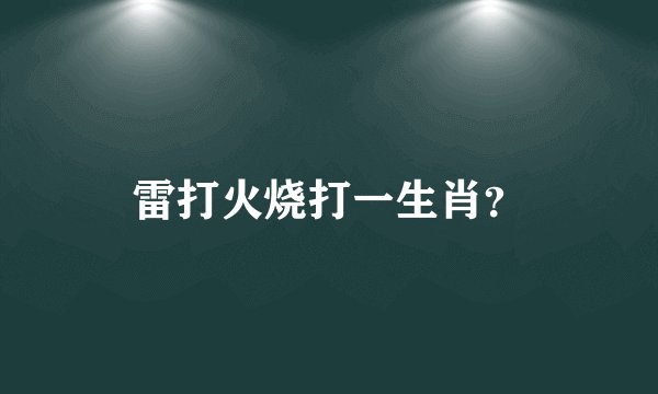 雷打火烧打一生肖？