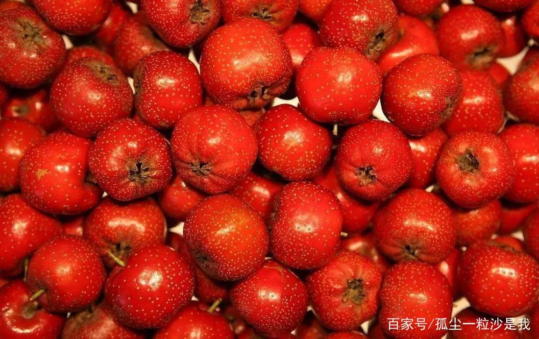 山楂和山里红 有什么区别