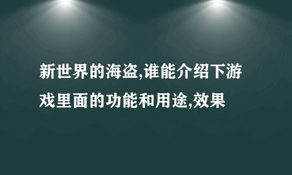 新世界的海盗,谁能介绍下游戏里面的功能和用途,效果
