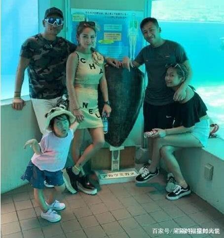 洗米华50亿资产首曝光,小三资产竟比正室还高,你怎么看?