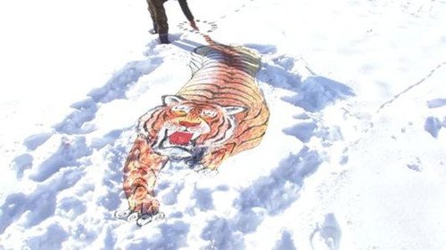 男子雪地画老虎吓野猪，南方网友排队求画，他是如何创作的？