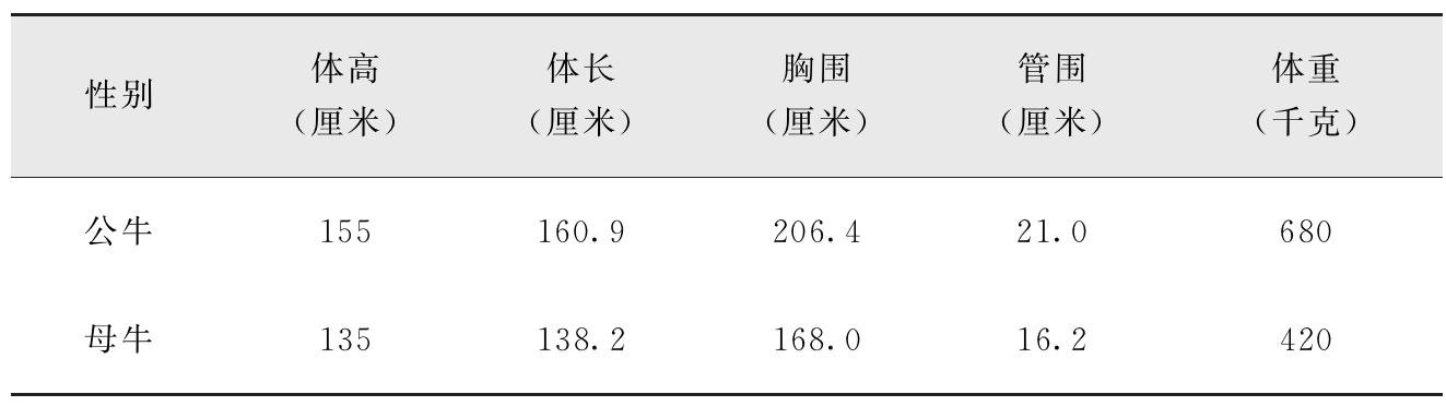 我国有哪些黄牛品种？特点是什么？