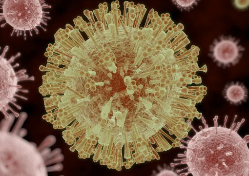 新型冠状病毒肺炎的症状有哪些?该如何应对呢?