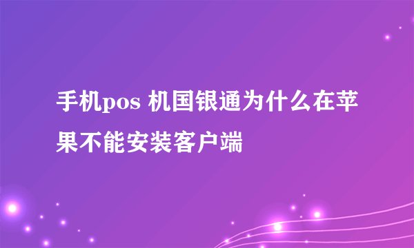 手机pos 机国银通为什么在苹果不能安装客户端