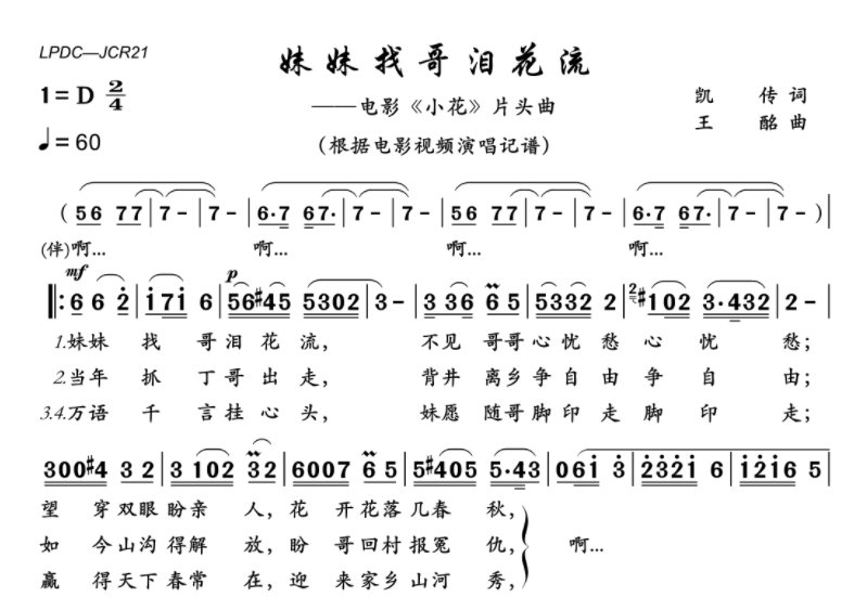 妹妹找哥泪花流 歌词
