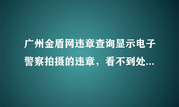 广州金盾网违章查询显示电子警察拍摄的违章，看不到处罚多少钱，也没有确认，如何可以查到处罚多少钱？
