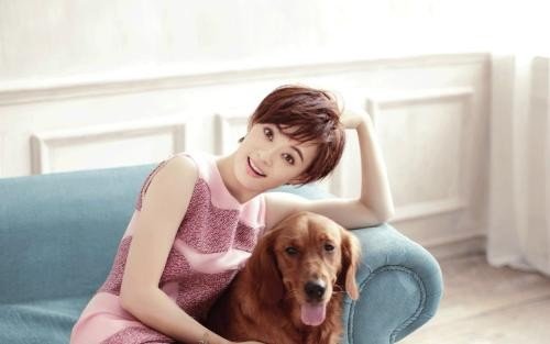 金星夸孙俪长的漂亮,孙俪说了什么让全场鼓掌?