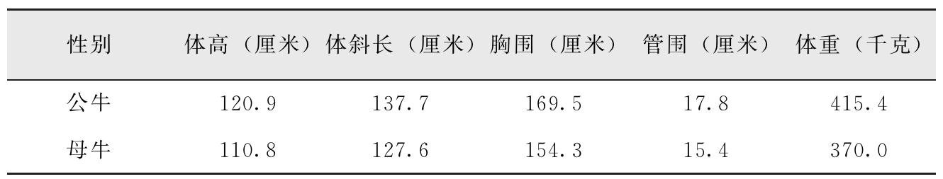 我国有哪些黄牛品种？特点是什么？