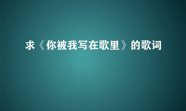 求《你被我写在歌里》的歌词