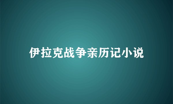 伊拉克战争亲历记小说