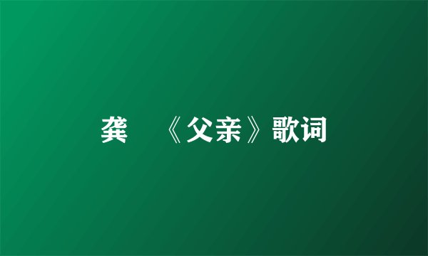 龚玥《父亲》歌词