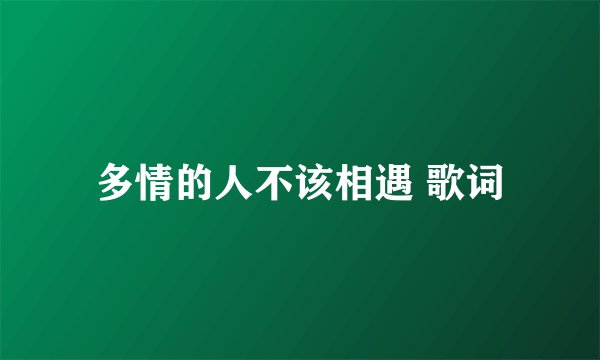 多情的人不该相遇 歌词