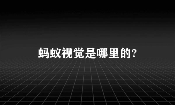蚂蚁视觉是哪里的?