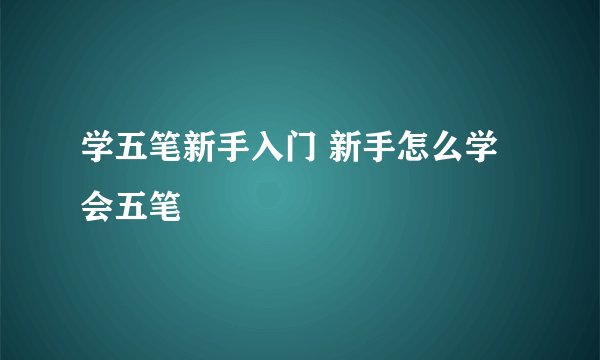 学五笔新手入门 新手怎么学会五笔