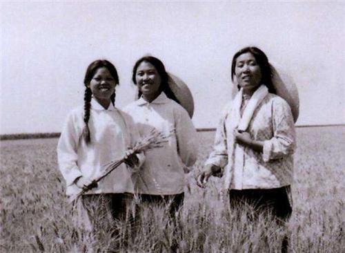 当年那位被众人怂恿,嫁给文盲农民的27岁河北女大学生,近况如何?