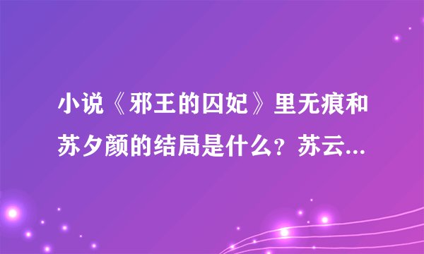 小说《邪王的囚妃》里无痕和苏夕颜的结局是什么？苏云风的呢？