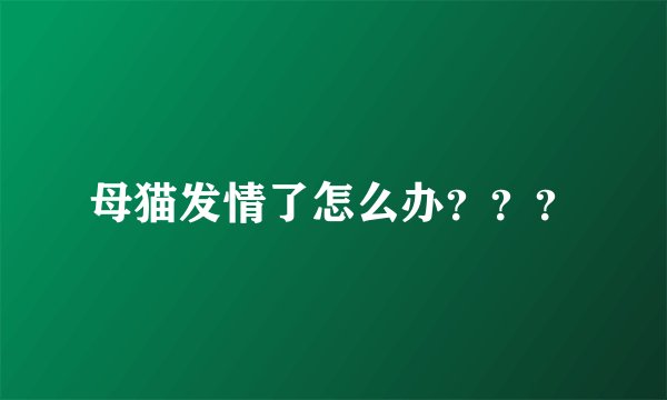 母猫发情了怎么办？？？