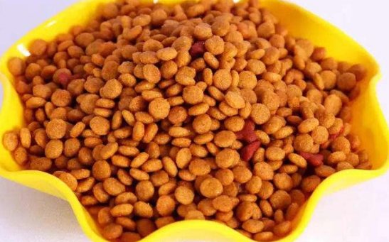 最好的猫粮是什么牌子？